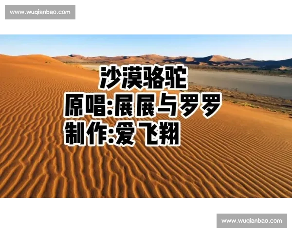 从比赛尔沙漠迷途到心中有路看见方向改变命运启示故事与人生选择